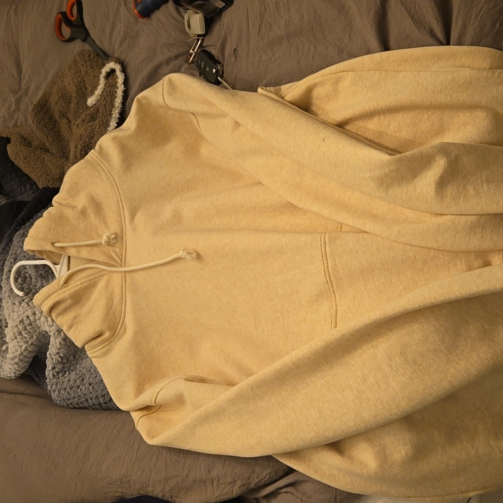 Industry of all nations (L) organic brown cotton hoodie never worn.